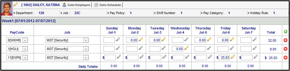 Hourly Analys Program Access Code Example AccessAdvancedTimesheet_TimesheetPreferenceArea_WS